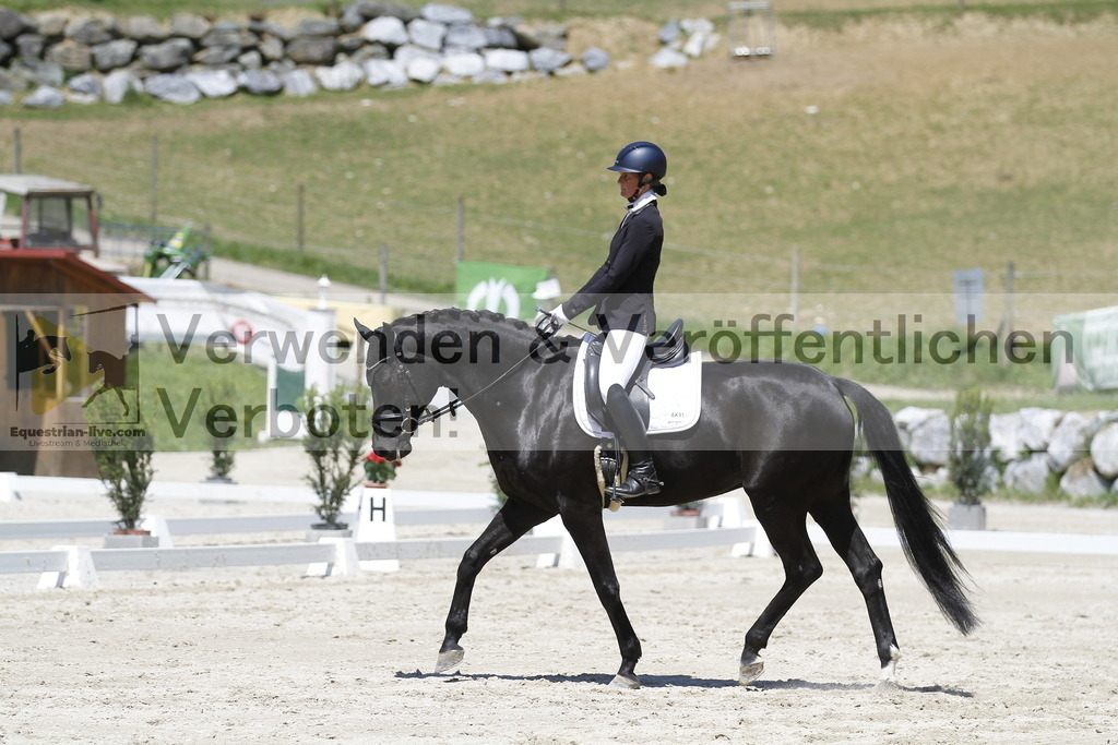 _MG_4713 | equestrian-live-com