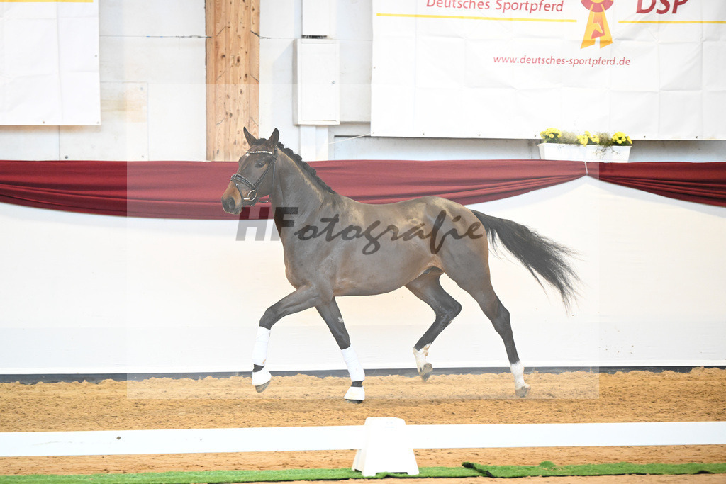 Kat-Nr. 43 v. Mykonos_Sommer_66220958 | hf-fotografie - Realisiert mit Pictrs.com