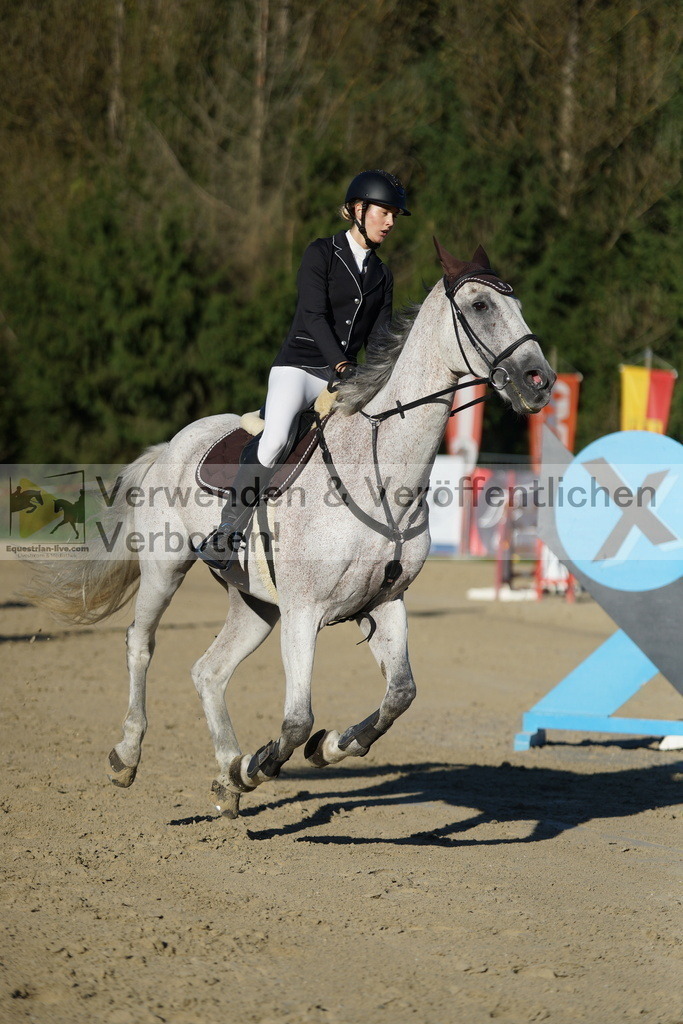 DSC08154 | equestrian-live-com
