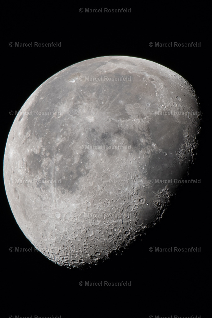 _DSC5242 | foto-rosenfeld