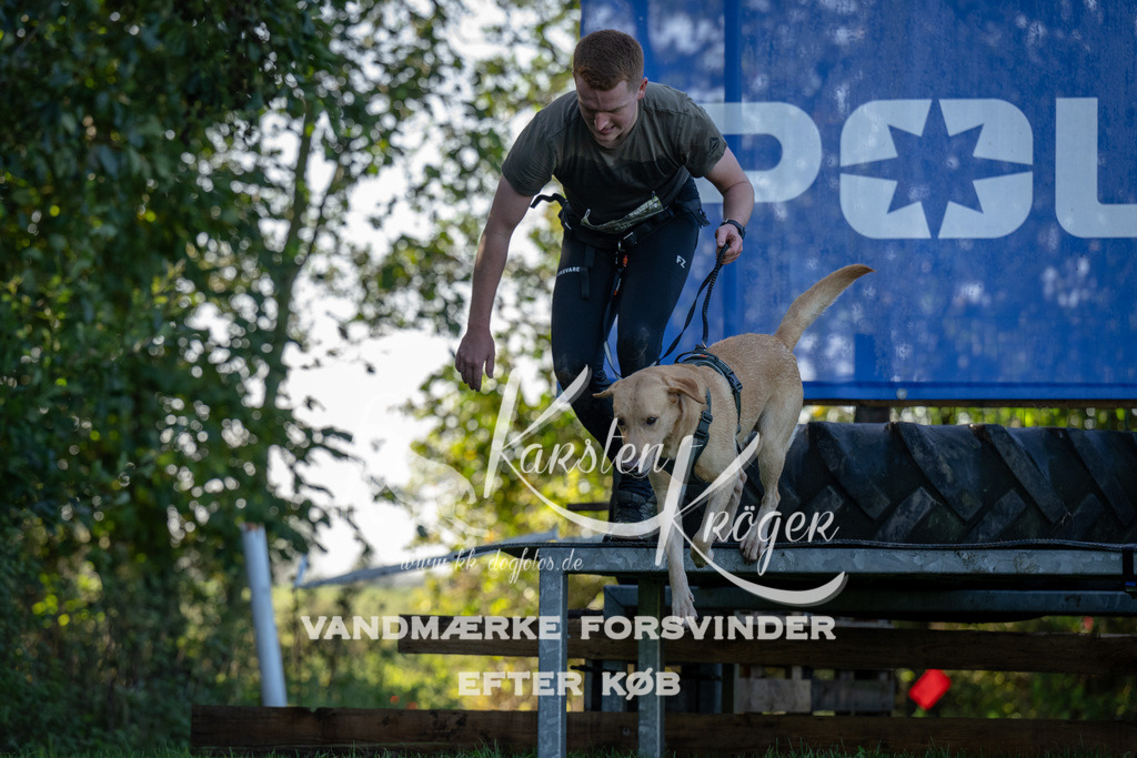 1035-91122 | kk-dogfotos