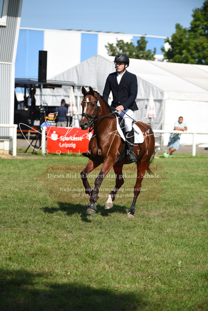 DSC_9038 | Pferde- und Turnierfotografie in Westsachsen. Pferdeportraits, Auftragszeichnungen und intuitive Kunst.