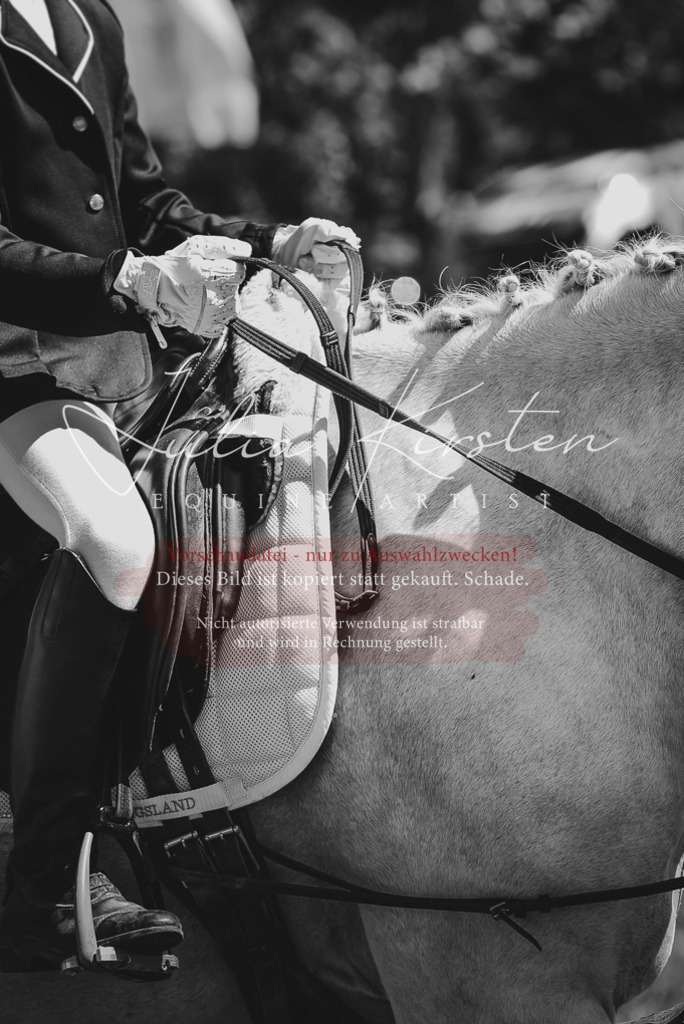 DSC_9692 | Pferde- und Turnierfotografie in Westsachsen. Pferdeportraits, Auftragszeichnungen und intuitive Kunst.