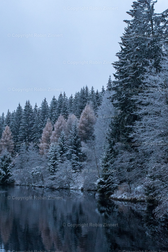 Fichtelsee_Winter00005 | Robin Zinnert - Realisiert mit Pictrs.com