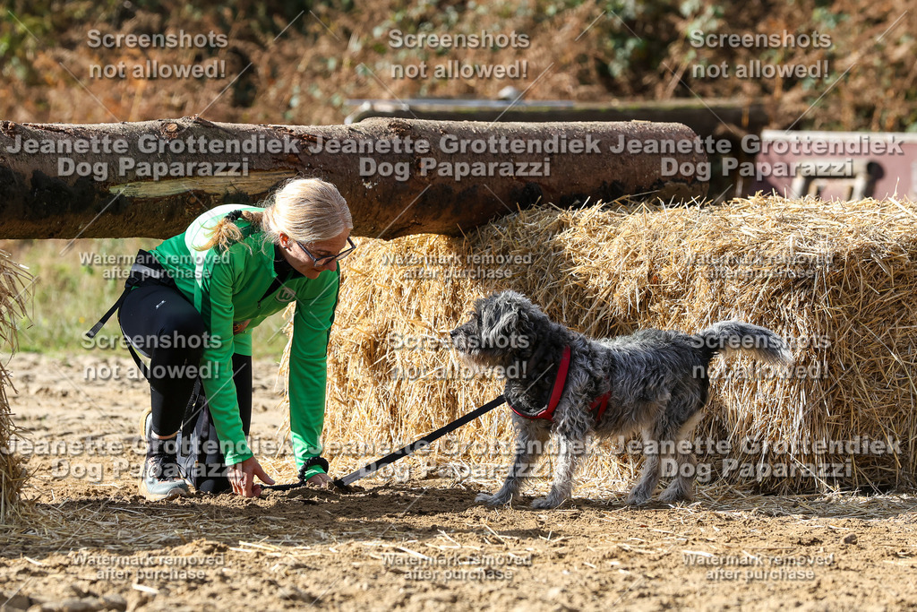 Dog Paparazzi - Strongdog 10-25-5255 | Dog Paparazzi Jeanette Grottendiek Fotografie & Videografie - Realisiert mit Pictrs.com