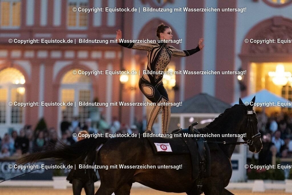 20230527_Voltigieren_NASPA_Flutlicht_0539 | equistock