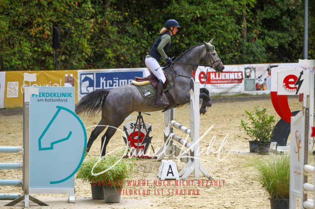 DKP40268 | Turniersportfotografie; Pferdefotografie; Dressurfotografie