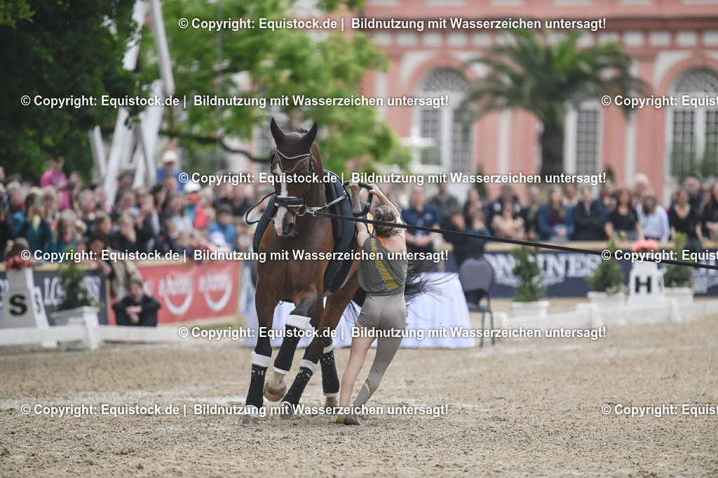 20240519_Voltige_0352 | Foto: Thomas Hartig