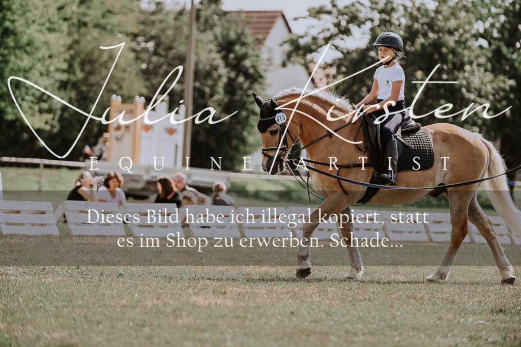 DSC_7653 | Pferde- und Turnierfotografie in Westsachsen. Pferdeportraits, Auftragszeichnungen und intuitive Kunst.