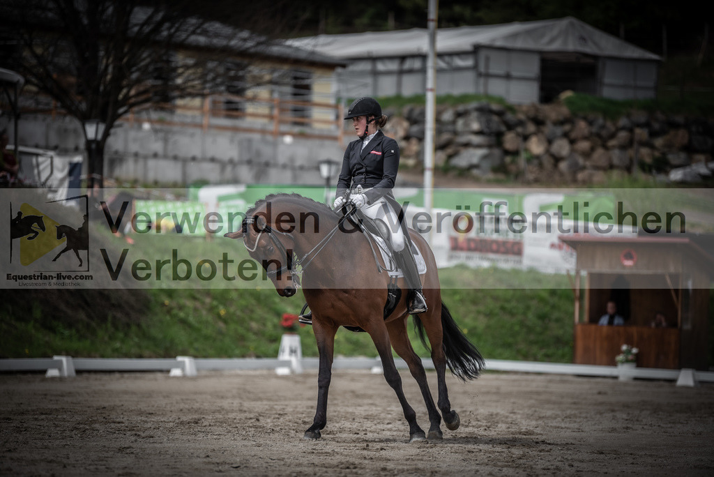 DSC_2469 | equestrian-live-com