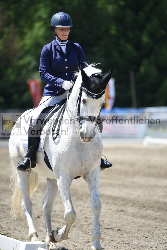 DSC_0321 | equestrian-live-com