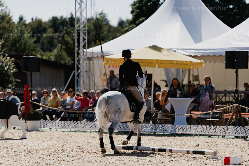 Virginie12FHC2025-08568 | working equitationturnier fotograf videograf stoibphotography marixx film working equitation deutschland reitsport turnierfotografie eventfotografie equestrian events