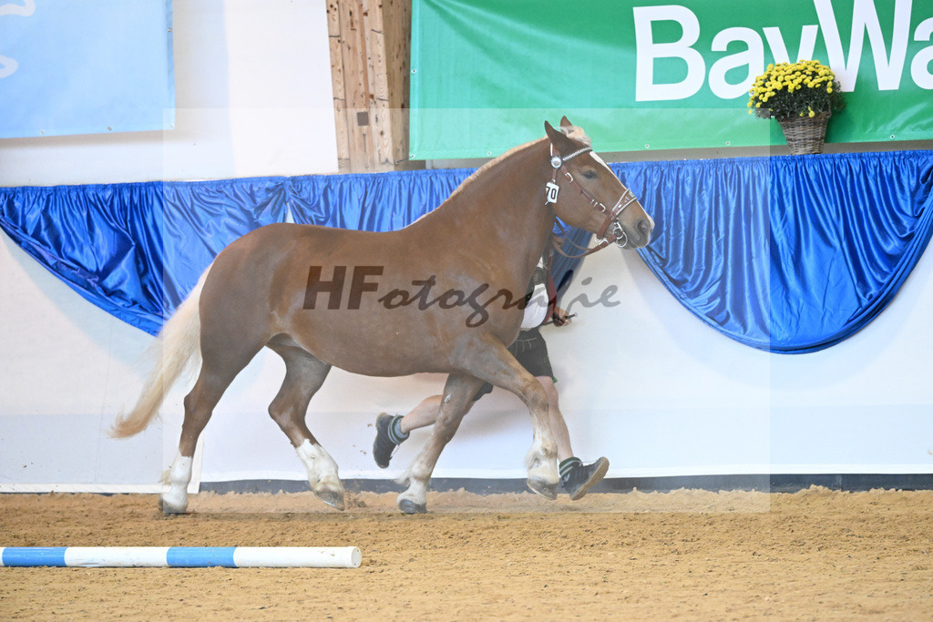 Kat-Nr. 70 Paula_Multerer_53220290 | hf-fotografie - Realisiert mit Pictrs.com