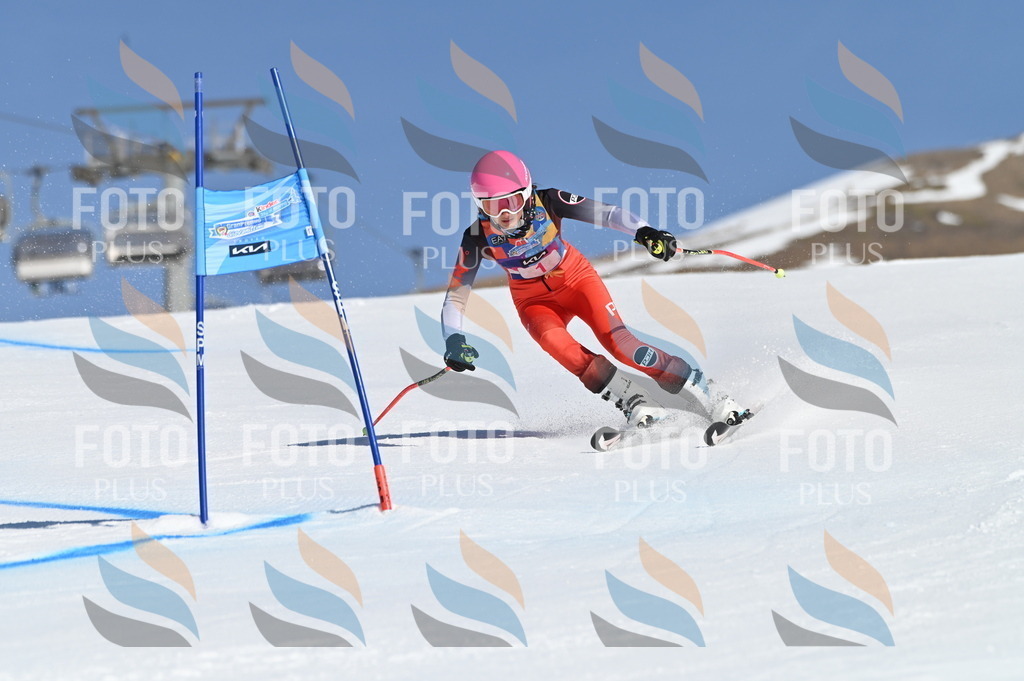 BGV_7578 | holidayphoto