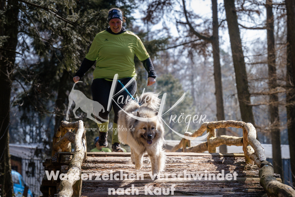 1333_ZZ95488 | kk-dogfotos
