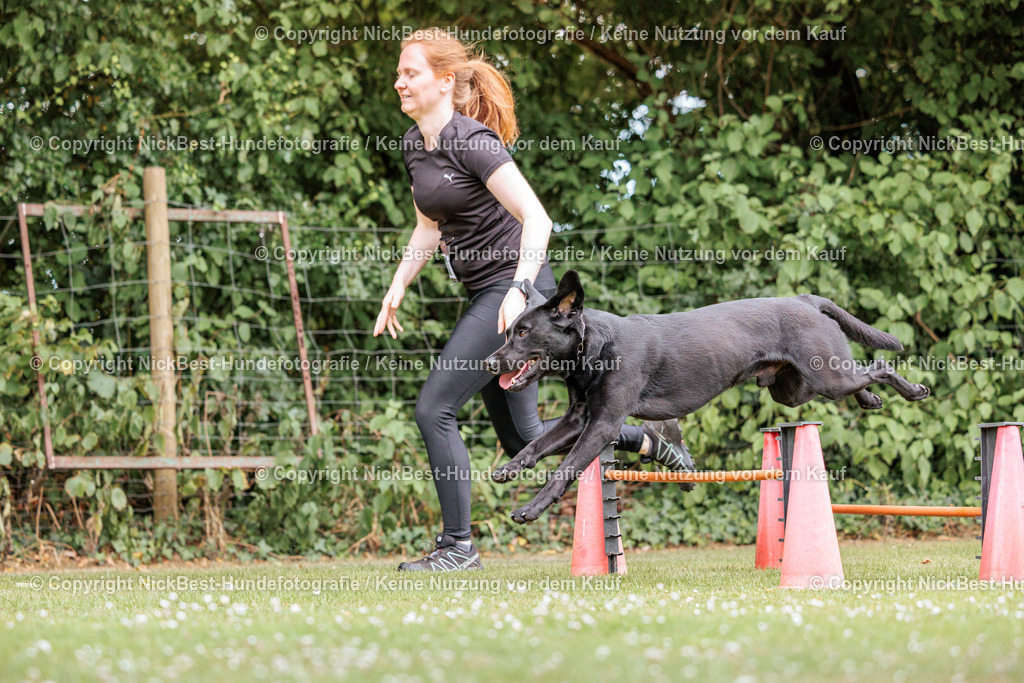 THS-Quakenbrück-2026-Nickbest-Hundefotografie-2239 | Dein Hund! Dein Moment! Deine Erinnerungen! Hundefotografie in Bremen Blumenthal. Ich fange die besonderen Momente deines Vierbeiners ein – ob Indoor mit Blitzanlage oder in der freien Natur. Sicher dir dein Moment und dein Termin für eure Erinnerungen.