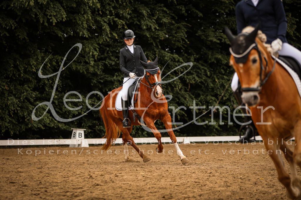 DoDrWB00185 | Leoni Ertmer Photography - Realisiert mit Pictrs.com