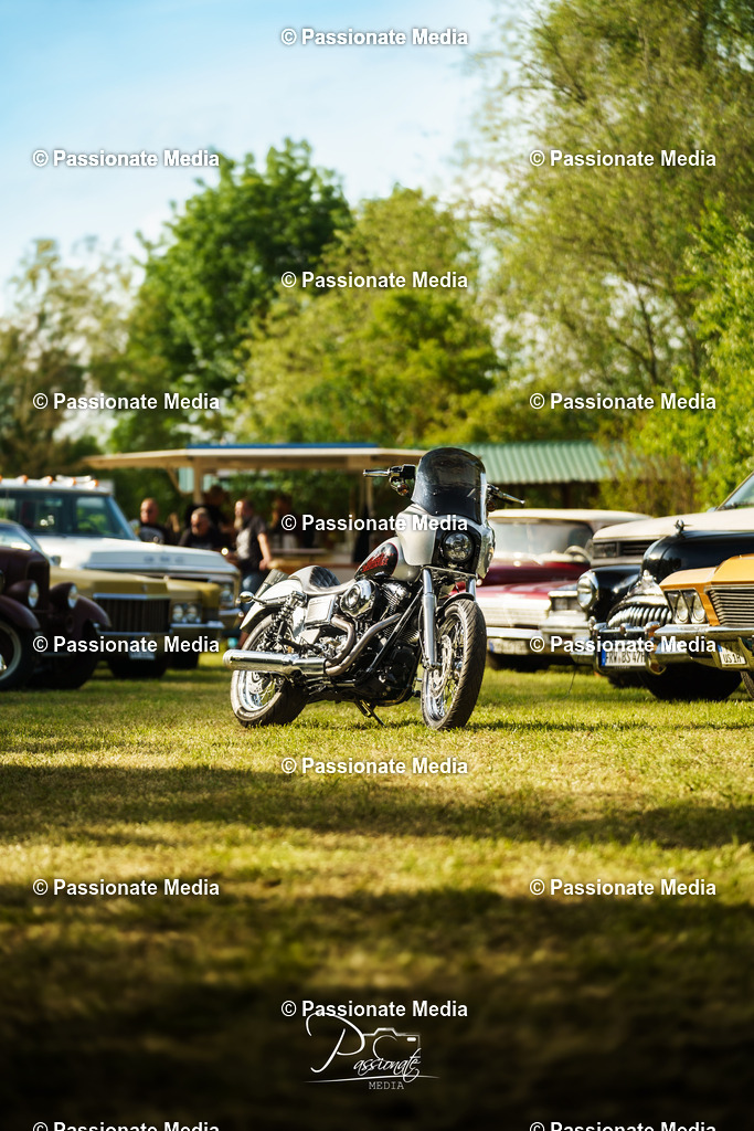 DSC08296 | Passionate Media, dein Fotograf aus Brandenburg, Märkisch Oderland, im Bereich Motorsport, Autos und Motorräder sowie Events und auch Hunde. Shootings oder auch Eventbegleitungen können bei mir gebucht we