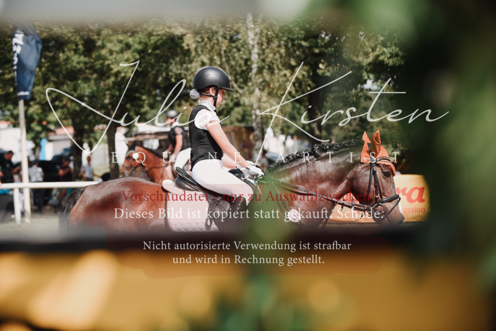 DSC_5700 | Pferde- und Turnierfotografie in Westsachsen. Pferdeportraits, Auftragszeichnungen und intuitive Kunst.