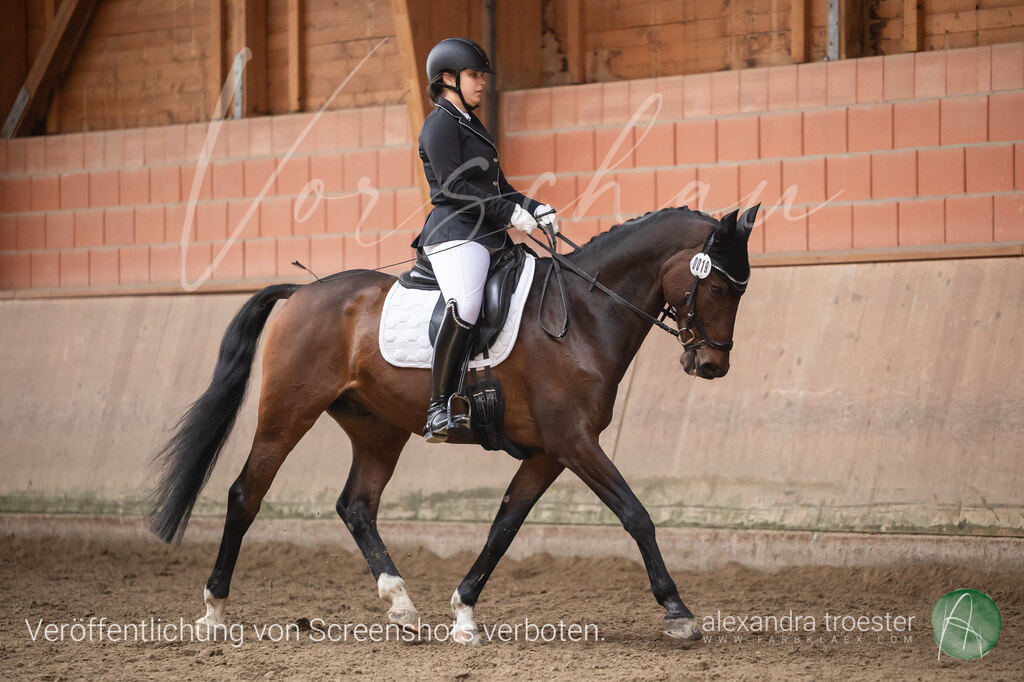 250405_Barop_11_041 | farbklaex.com