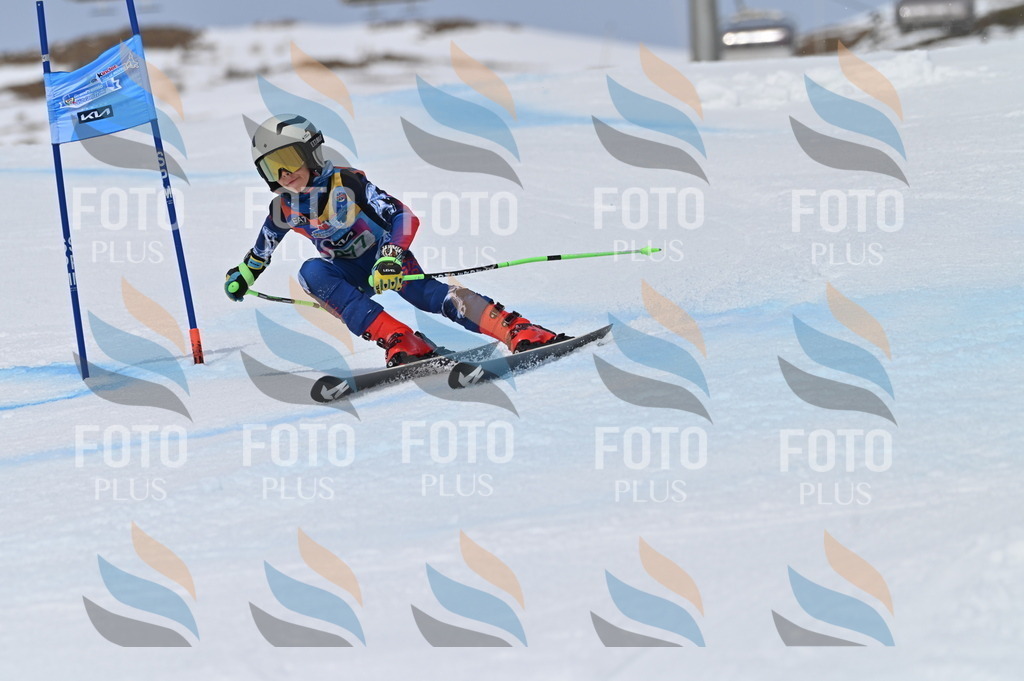 BGV_5505 | holidayphoto