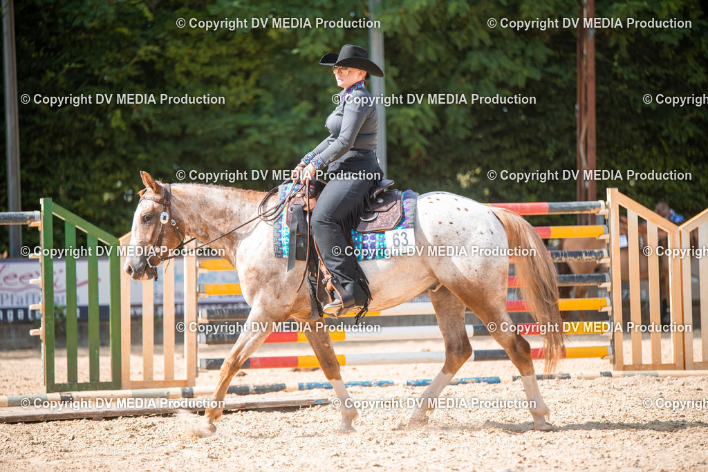 EWP_6920 | dv-media-shop - Realisiert mit Pictrs.com