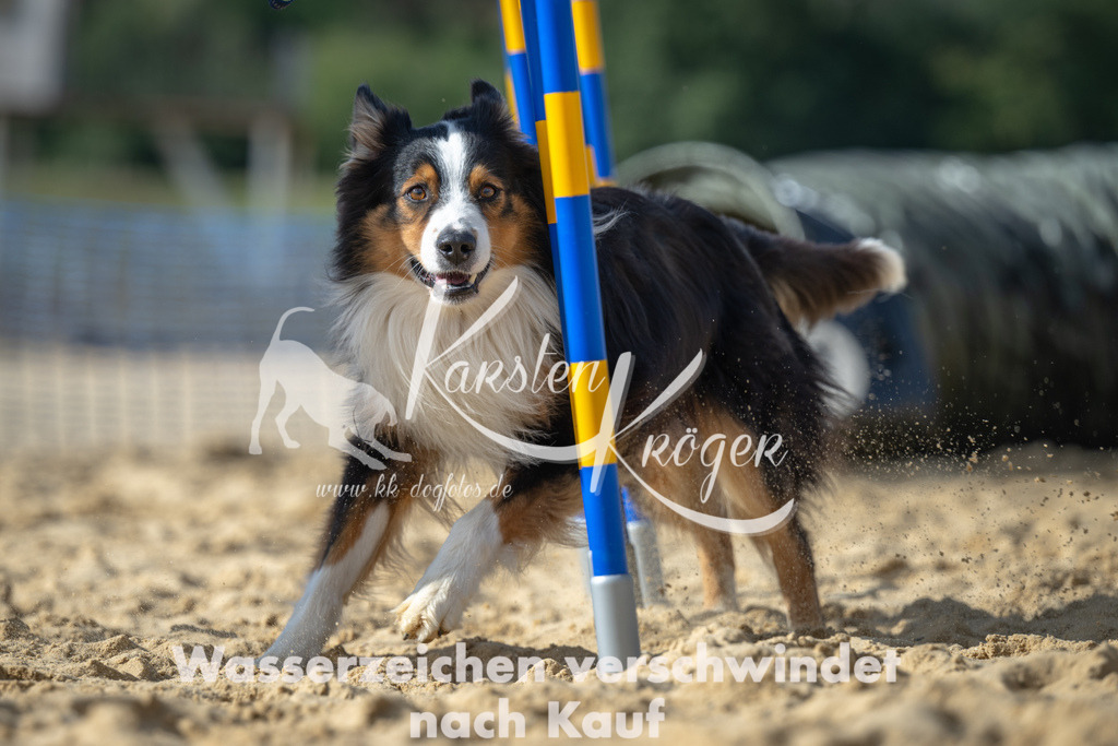 1432_ZZ91529 | kk-dogfotos