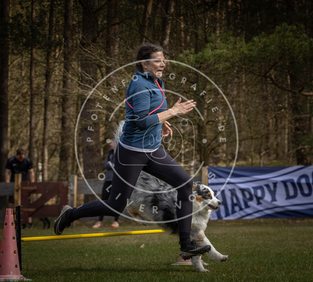Pfotenfotografie_DV3A3374 | Hundefotografie, Tierfotograf, Pfotenfotografie, Fotoshooting Hund, Hunde Portrait, Hundesport, Hundeportraits, Heideshooting, Hunde, Sportfotograf, Hundefotograf, Turnierhundsport, THS,  - Realisiert mit Pictrs.com