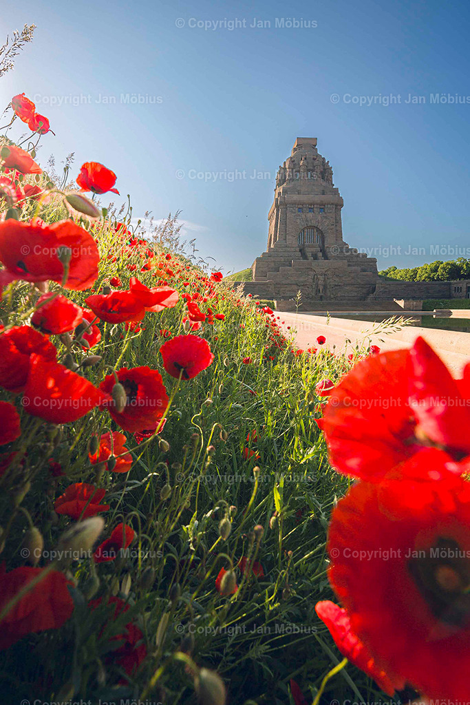 _M5D6521 | Leipzig Wandbilder Drucke Prints Leinwand Stadtmotive Leipzig Fotosdruck Kunstdrucke Bilder Leipzig Stadtansichten Acrylglasbilder Leipzig Wanddeko Fine Art Prints Wandbilder Büro Leipzig Bilder Praxis Zuhause Bilderdruck Poster Posterlounge Kunstdrucke - Realisiert mit Pictrs.com