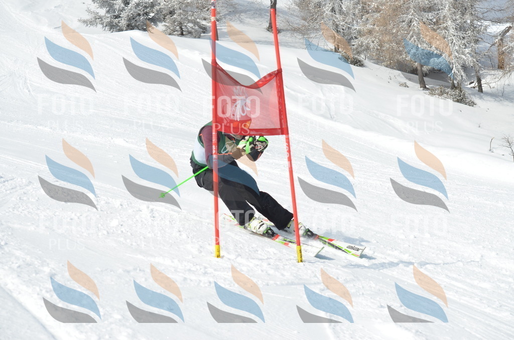 D9010 | holidayphoto