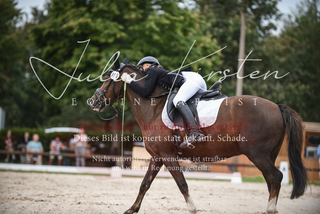 DSC_8184 | Pferde- und Turnierfotografie in Westsachsen. Pferdeportraits, Auftragszeichnungen und intuitive Kunst.