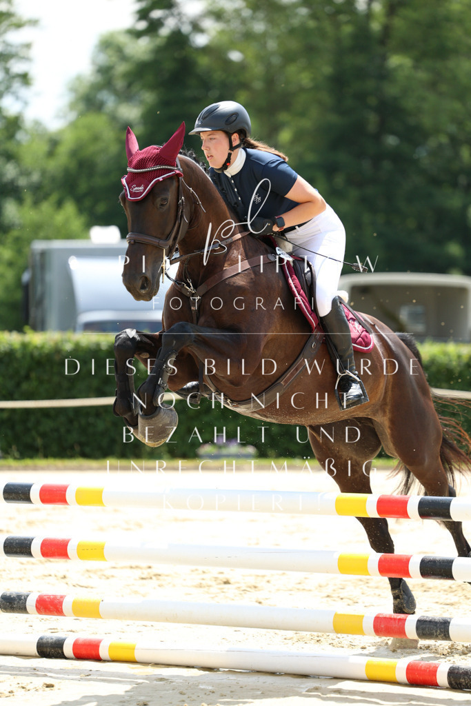 IMGM1870 | pl-fotografie