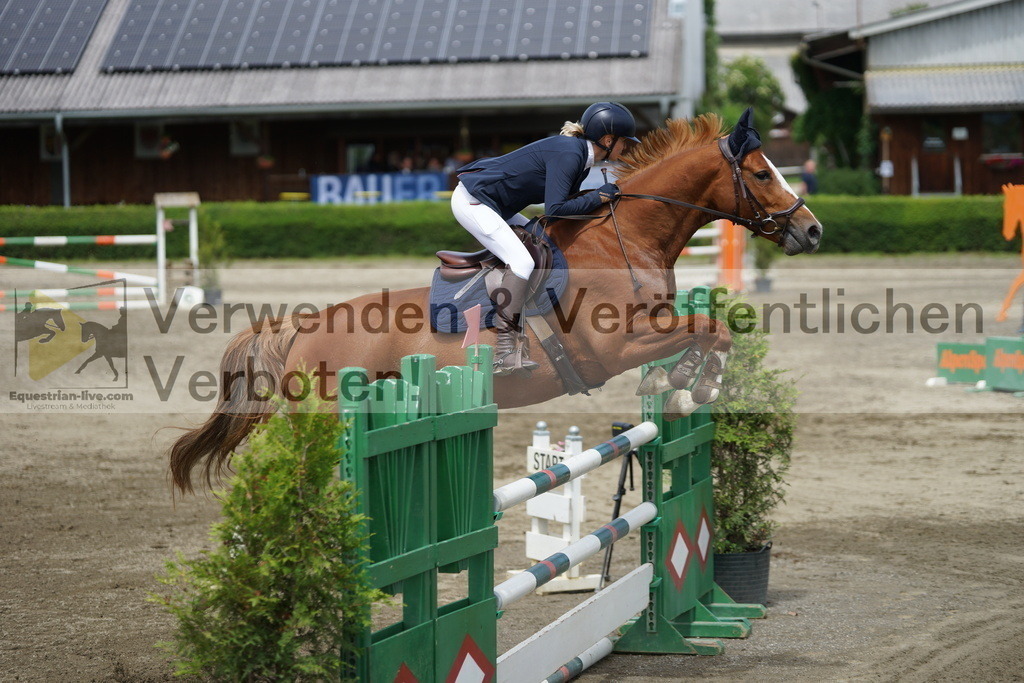 DSC05204 | equestrian-live-com