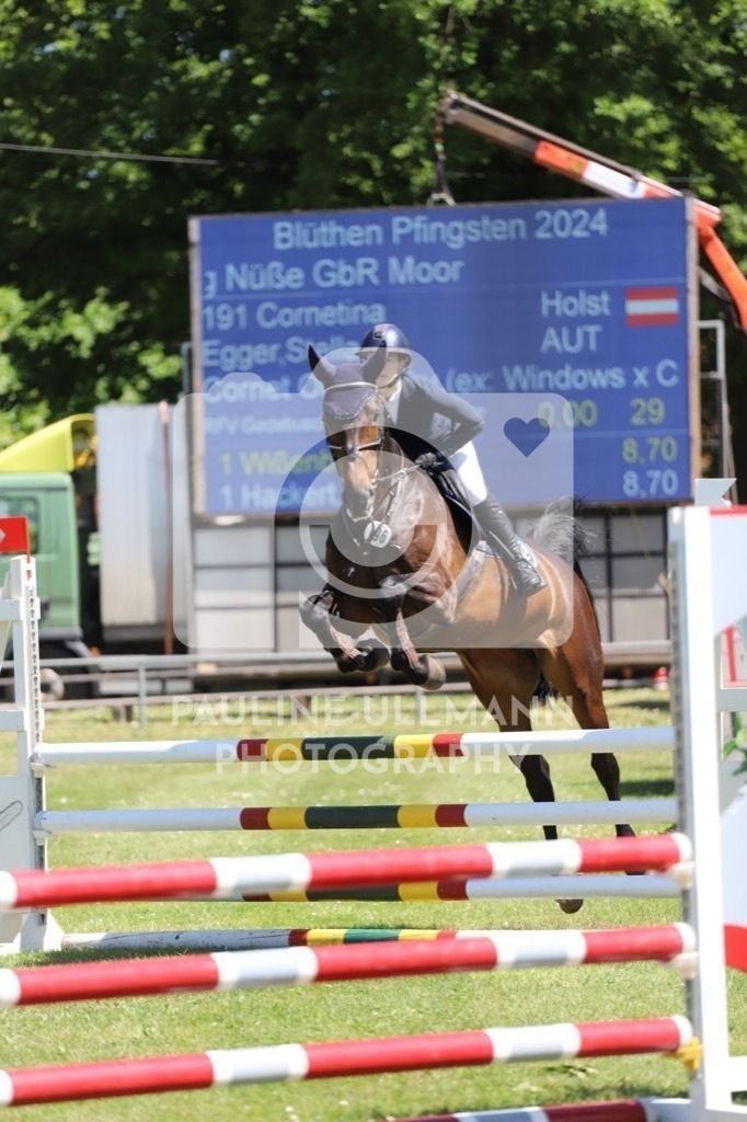 IMG_6307 | Pauline Ullmann Photography - Realisiert mit Pictrs.com