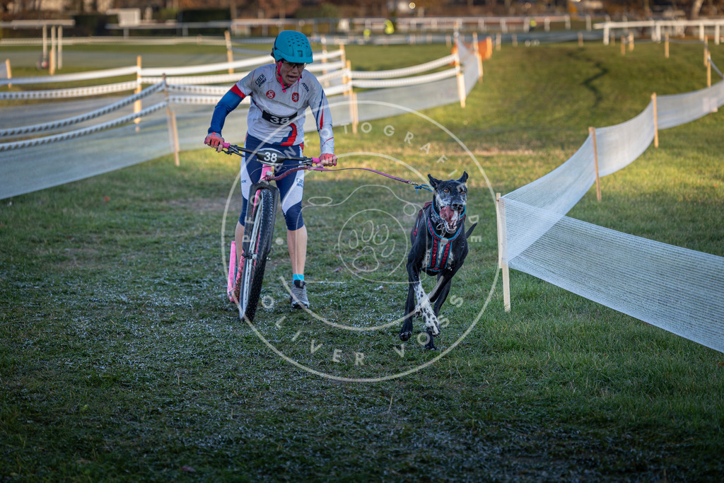 CaniXpix_0L8A2318 | Hundefotografie, Tierfotograf, Pfotenfotografie, Fotoshooting Hund, Hunde Portrait, Hundesport, Hundeportraits, Heideshooting, Hunde, Sportfotograf, Hundefotograf, Turnierhundsport, THS,  - Realisiert mit Pictrs.com