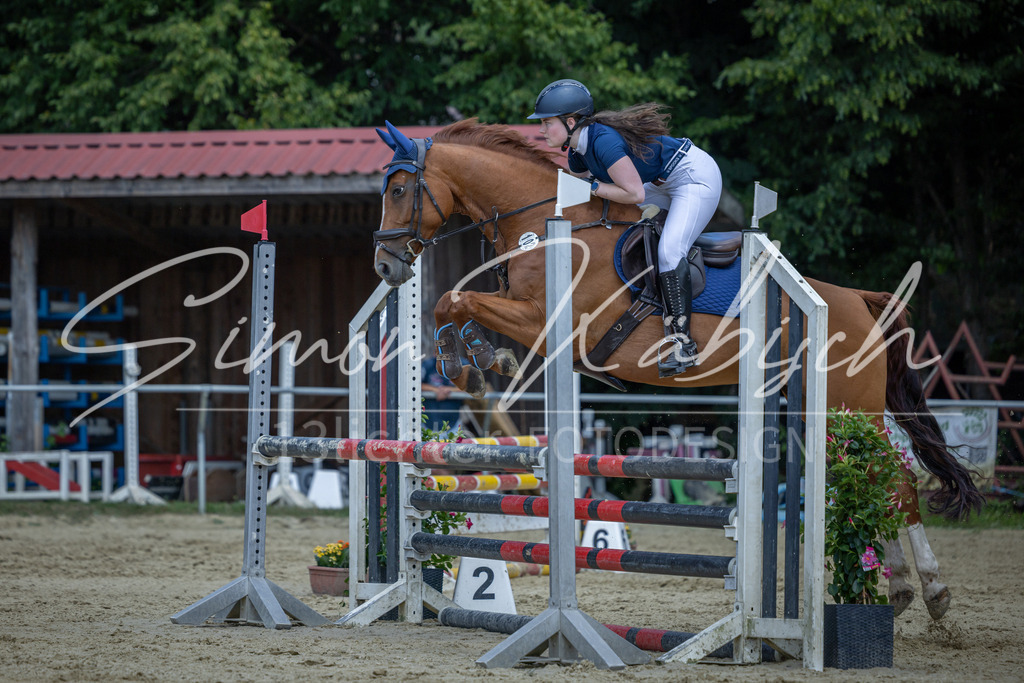 20260704-_3LI9944 | Tierfotografie Pferde, Hunde, Katzen, Haustiere.
Turnierfotografie Reitturniere, Reiten, Springreiten, Dressur in Hanau, dem Main-Kinzig-Kreis und dem Rhein-Main- Gebiet um Frankfurt