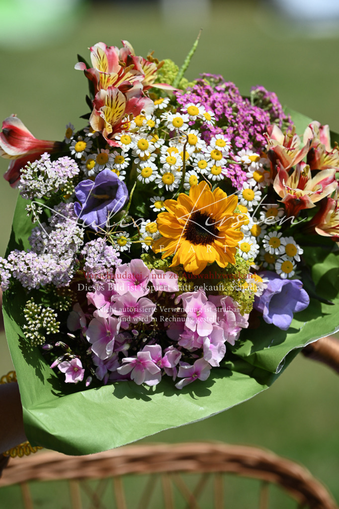 DSC_9918 | Pferde- und Turnierfotografie in Westsachsen. Pferdeportraits, Auftragszeichnungen und intuitive Kunst.