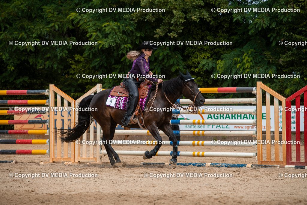 EWP_6034 | dv-media-shop - Realisiert mit Pictrs.com