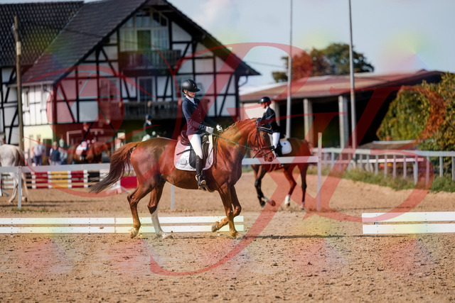 2026_10_03_Siefer-Hof_123646_Z63_54337633 | Professionelle Reitsport-, Turnier- und Eventfotografie von Robert Broda. Galerien mit ausgewählten und bearbeiteten Bildern direkt online ansehen und bestellen.
