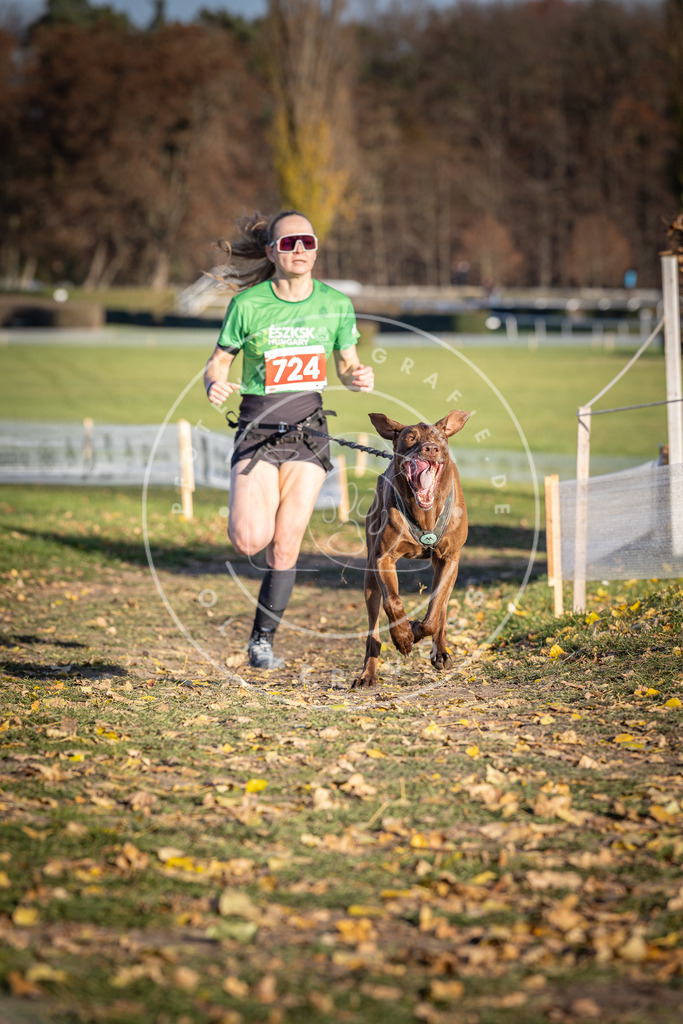 CaniXpix_DV3A1920 | Hundefotografie, Tierfotograf, Pfotenfotografie, Fotoshooting Hund, Hunde Portrait, Hundesport, Hundeportraits, Heideshooting, Hunde, Sportfotograf, Hundefotograf, Turnierhundsport, THS,  - Realisiert mit Pictrs.com