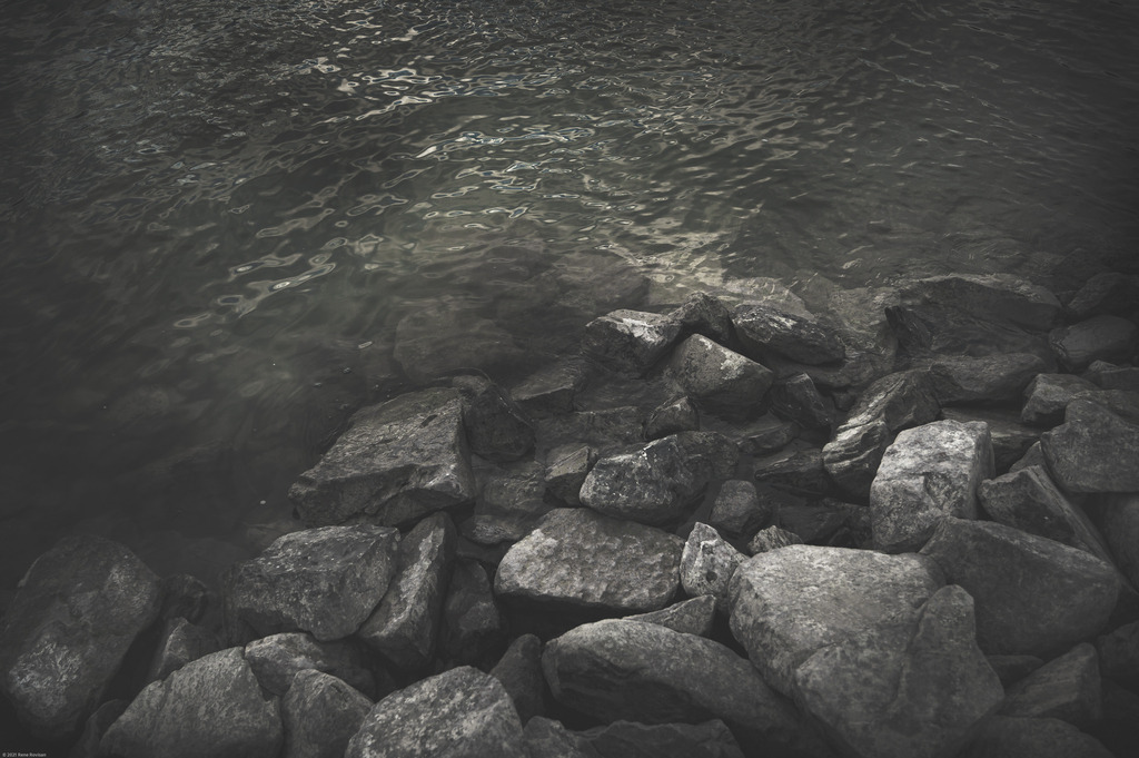 _DSC7168-2 | renerovisanfotoart.com