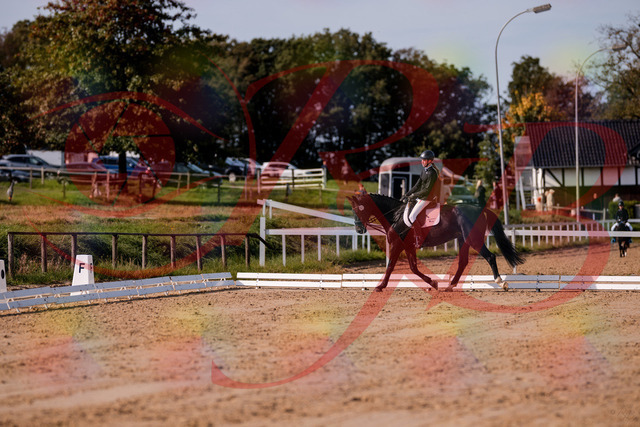 2026_10_03_Siefer-Hof_115623_Z81_97111853 | Professionelle Reitsport-, Turnier- und Eventfotografie von Robert Broda. Galerien mit ausgewählten und bearbeiteten Bildern direkt online ansehen und bestellen.