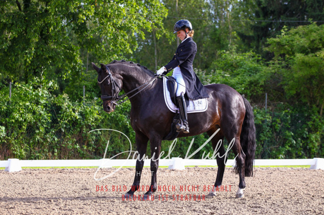 DKP41723 | Turnierfotos kaufen im Webshop von Daniel Kuhl Photography – entdecke professionelle Reitsportfotos aus Turnieren & Events. Hochwertige Turnierbilder online bestellen & sichern. Jetzt Fotos von Reitsportturnieren kaufen!