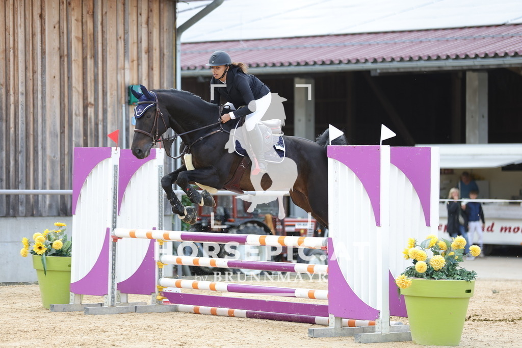 0P6A9400 | Willkommen bei Brunnmayr - Design & Fotografie – Ihrem Spezialisten für Reitturniere und Pferdeveranstaltungen in Oberösterreich, Salzburg und Bayern! Seit über 17 Jahren sind wir leidenschaftlich dabei.