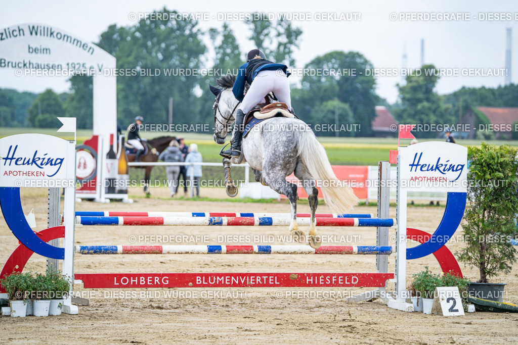 DSC03381 | Pferdegrafie