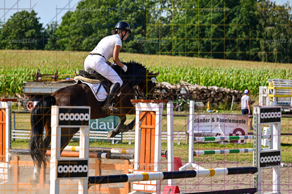 30 Jahre RFV Pulsnitz e.V., Pulsnitz am 09.08.2026 | Zur 28. breitensportlichen Veranstaltung des RFV Pulsnitz e.V. fanden verschiedene Wettbewerbe in nahezu allen Disziplinen des Pferdesport statt. - 06 Standard-Spring-Wettbewerb - Realisiert mit Pictrs.com