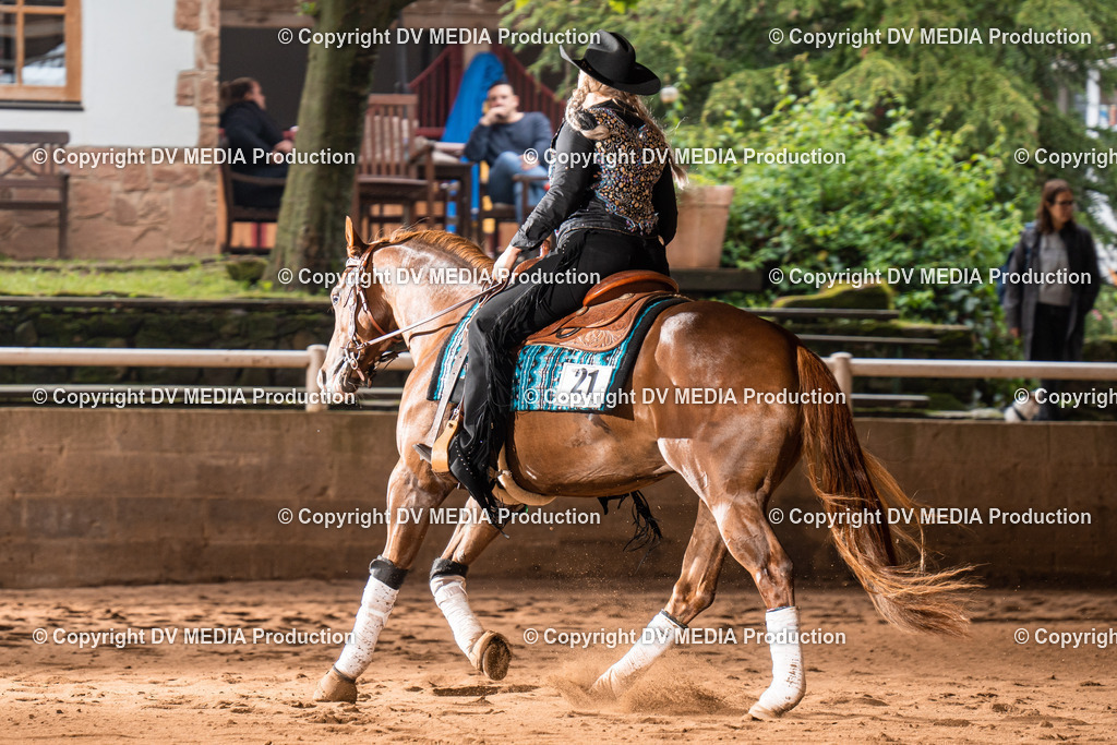 Erbach Tag 3-720 | dv-media-shop - Realisiert mit Pictrs.com