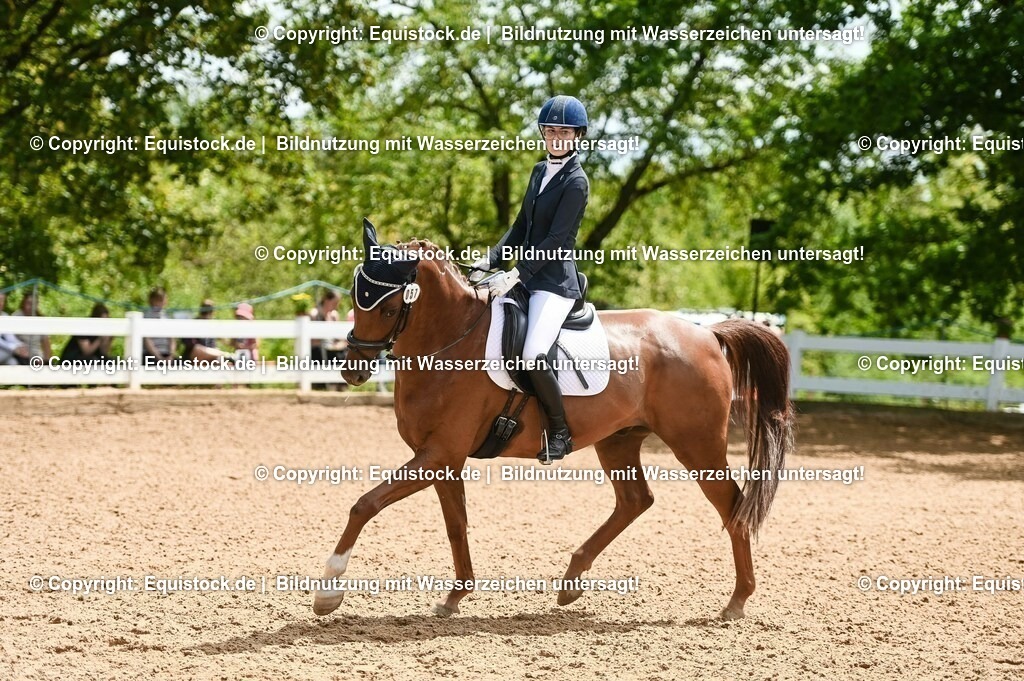 20230716_03_Dressurprfg. Kl.L - Tr._0307 | equistock
