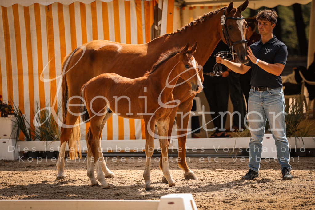 07.DoWBS00123 | Leoni Ertmer Photography - Realisiert mit Pictrs.com