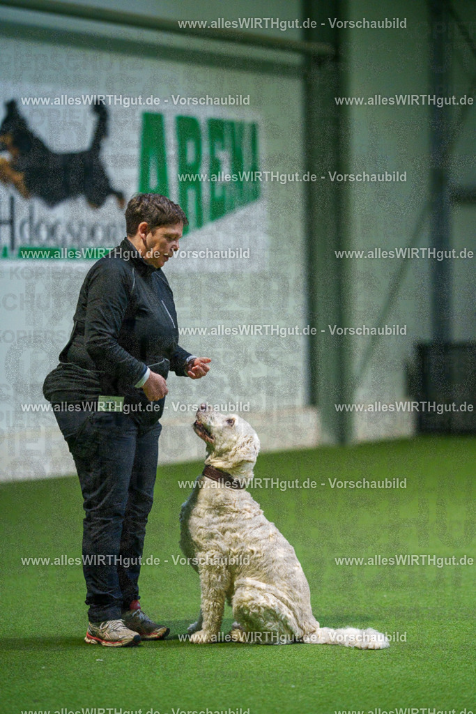 7R500821 | Professionelle Tierfotografie in Mönchengladbach von Daniel Wirth (allesWIRTHgut). Liebevolle & natürliche Bilder von Hunden & Katzen für unvergessliche Erinnerungen.